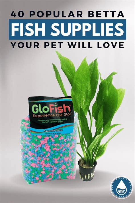 Betta Fish Supplies, Accessories & Products .